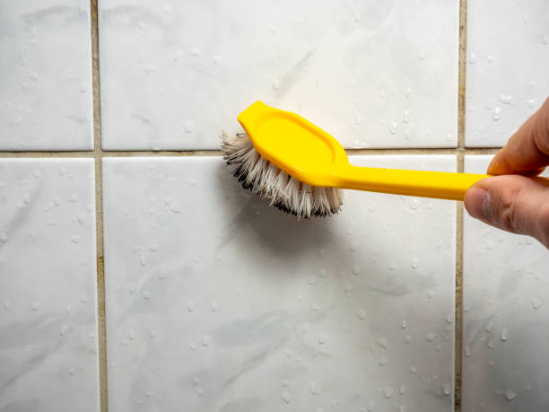 Best Toxic Mold Removal  in Prairie Grove, AR
