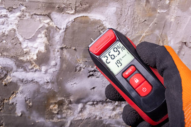 Best Home Mold Removal  in Prairie Grove, AR