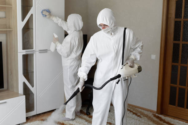 Mold Removal Process in Prairie Grove, AR