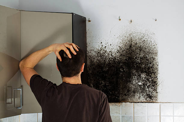 Water Damage Restoration in Prairie Grove, AR